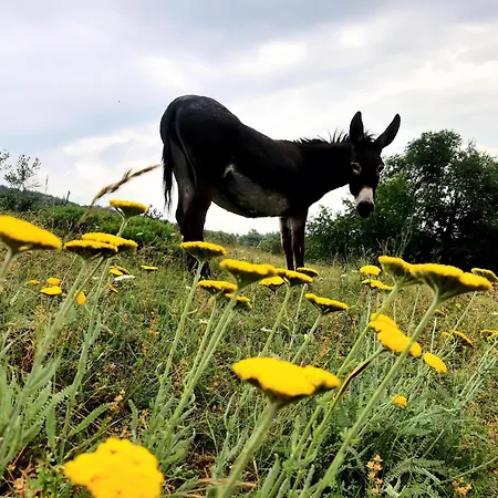 Magarija 1 Apartamento *