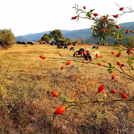 Magarija 1 Apartamento