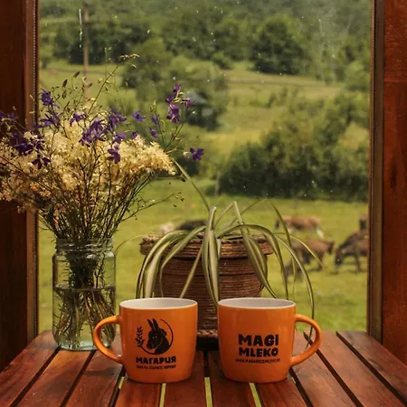 Magarija 1 Dimitrovgrad