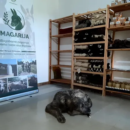 Magarija 1 Apartamento *