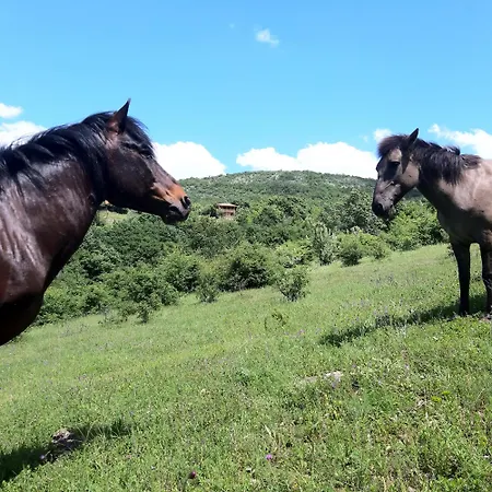 Magarija 1 Apartamento *