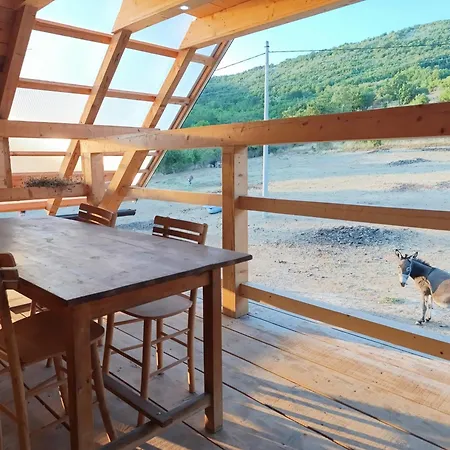 Magarija 1 Dimitrovgrad