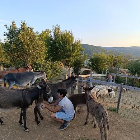 Apartamento Magarija 1 Dimitrovgrad