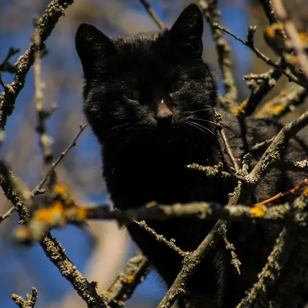 Apartamento Magarija 1 Dimitrovgrad