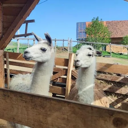 Magarija 1 Apartamento